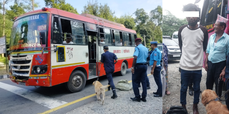 कुकुर सहितको प्रहरी टोलीद्धरा नियन्त्रित औषधी सहित १ जना पक्राउ