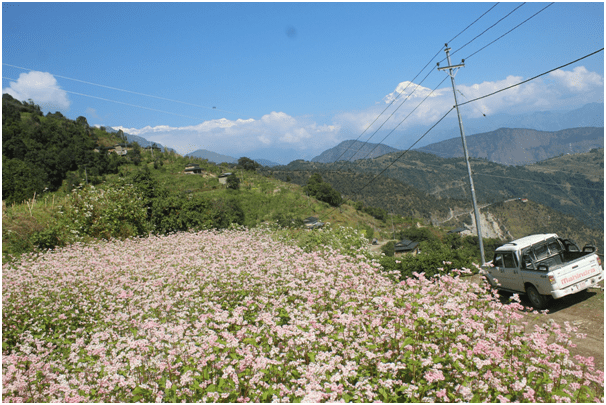 छ सय घरमा विद्युत् सुविधा विस्तार