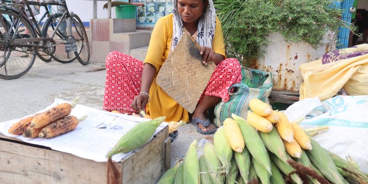 मकै बेचेर महिनामा ३० देखि ४० हजारसम्म कमाई जीवन निर्वाह सहज