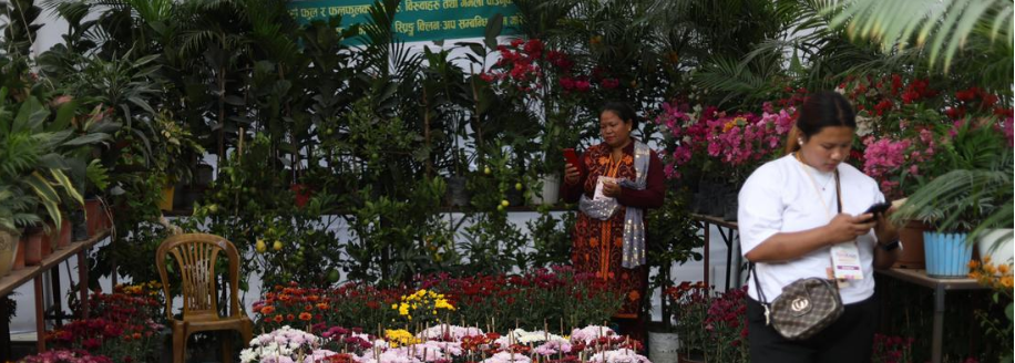 चैत १ गतेदेखि काठमाडौँमा फ्लोरा एक्स्पो हुँदै